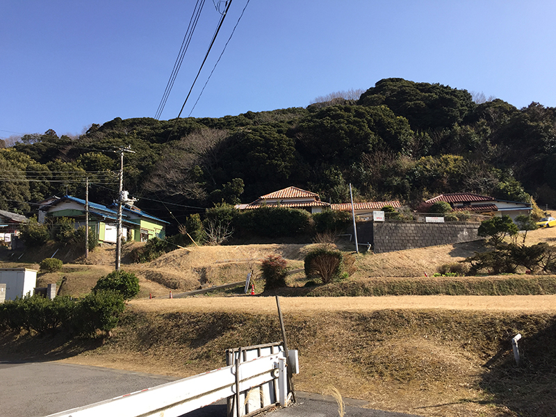 ピザ フレンチブルドッグ